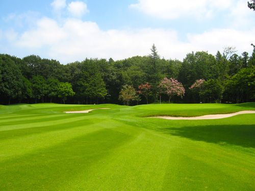 Hole 12 写真